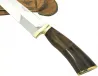 Imagem 4