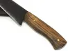 Imagem 4